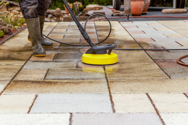 Best Solar Panel Cleaning  in Stevenson, AL